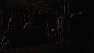 Maeve Jinkings - Boi neon (2015) celebrity super-hot episode