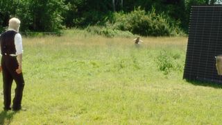 Jodi Balfour, Meisha Lowe, Sara Canning, Rya Lefevre, Sarah Goodwill, Vanessa Walsh, Stephanie Izsak - Eadweard (2015) celebs stunning video