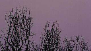 Nicole Branch - Gravitate (2014) celebrity handsome