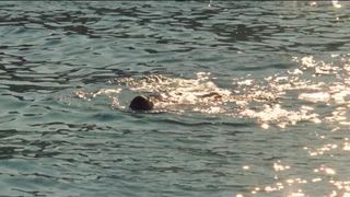 Crista Alfaiate - As Mil e Uma Noites Volume three, O Encantado (2015) actress nude