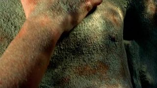 Joanna Pokojska - Siec (2003)