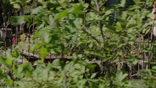 Catherine_Carlen__Deborah_Ann_Woll_-_The_Automatic_Hate (2015)