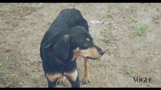 Rihanna killer - Vogue_Brasil._Behind_The_Scenes (2014)