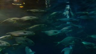 Marilyn Lima - Une sirene a Paris (2020) celebrity nude