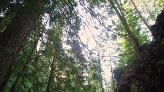 Laura Bilgeri naked - The Reminisce (2017)