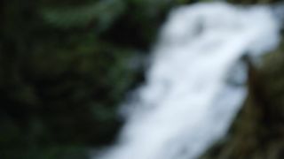 Laura Bilgeri naked - The Reminisce (2017)