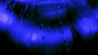 Samantha Varga, Stacy M Underwood - Palace Shark (2018)