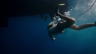 Shailene Woodley - Adrift (2018) celebs sizzling episode