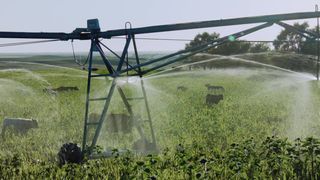 Patrycja Planik - Lillian (2019) Smoothly-Shaven Actress in nude episode