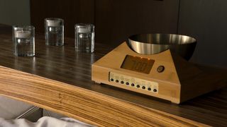 Sara Ryan nude - Get Shorty (2017) s01