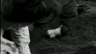 Vimala Pons nude, Diane Rouxel - The Insane Guys (2018)