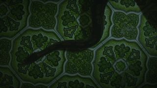 Marilyn Castonguay - Horny Flesh (2016) celebrity nude-chested videos