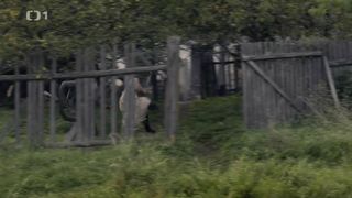 Vica Kerekes - Cetnici z Luhacovic s01e01-02 (2017) Nude actress in a movie scenes