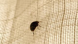 Charlize Theron - The Last Face (2017) Censorship nude movie