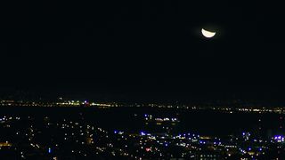 Elizabeth Rice, Tonya Kay, Nicole Arianna Fox nude - Paradise Club (2016)