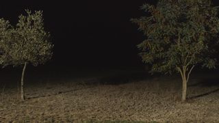 Audrey Le Bihan, Anne-Laure Gruet nude - Lea (2018)