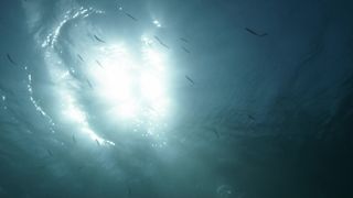 Gracija Filipovic, Vanesa Vidakovic Natrlin naked - Into the Blue (2017)