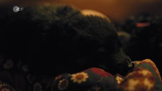 Naomi Achternbusch, Clara Schramm - Unsighted _ Hasslich (2017) handsome naked scene