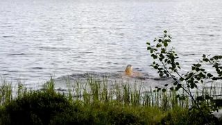 Evy Mari Randa - Dead Bait (2016) celeb naked movies