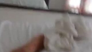 mi perra nueva favorita - Step  Sex