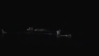 Ariane Labed, Stephanie Sokolinski (Soko) - Voir du pays (2016) celeb sizzling vid scenes