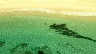 Blake Upbeat nude - The Shallows (2016)