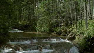 Natalya Frey nude - Poteryannyy ostrov (2018)