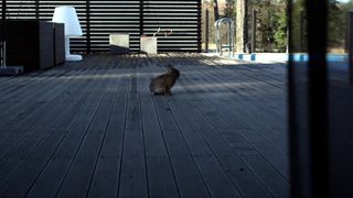 Helena Af Sandeberg - Morkt vatten (2012)