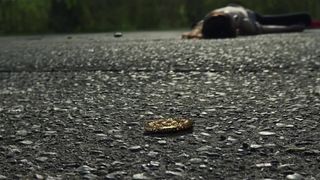 Emily Browning naked actress - Yankee Gods  (2017) (Season 1, Vignette 7)