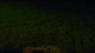 Stephane Caillard, Coline Beal naked - Furie (2019)