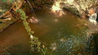 Tuvana Turkay, Hazal Senel nude - Bizans Oyunlari (2016) Fun Nudity Scene