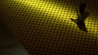 Christina Dendrinou, Maria Nafpliotou - Tetarti 0445 (2015)