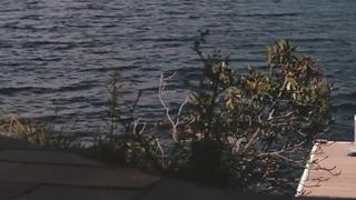 Elizabeth Olsen Nude - Martha Marcy May Marlene (2011)