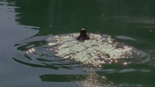 Salome Richard nude - Septembre (2013)