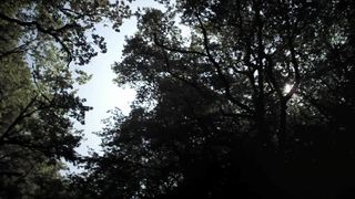 Cylia Malki - Carpe Diem (2013)