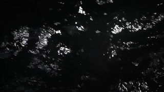 Cylia Malki - Carpe Diem (2013)