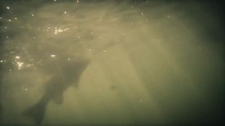 Viridiana Bravo, Venezia Zavala - Eros (2016) Nude stellar movies