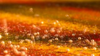 Nandana Sen - Rang Rasya (2008) celebs scorching episode