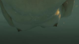 Leticia Leon nude- Molina's Borealis (2013)