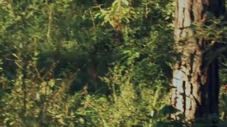 Stephanie Griffith, Taylor Hughes nude - Yankee Paradice (2011)