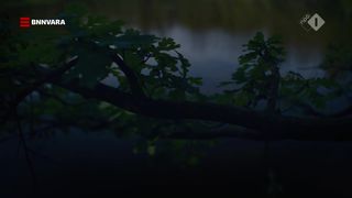 Malou Gorter nude - Oogappels s01e02 (2019)