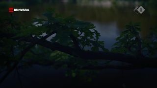 Malou Gorter nude - Oogappels s01e02 (2019)