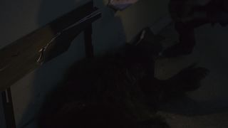 Jennifer Wenger, Raquel Woodruff naked - Alpha Cub (2018)