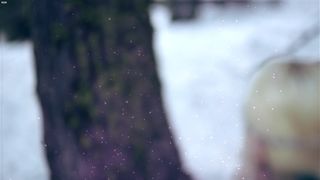 Gemma Donato - Sleeping Ultra-Cutie (2014)