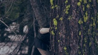 Gemma Donato - Sleeping Ultra-Cutie (2014)