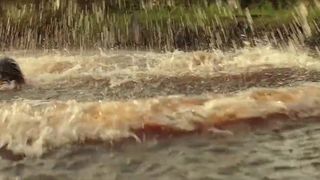 Michelle_Monaghan_-_Liana_Liberato_The_Best_of_Me__2014