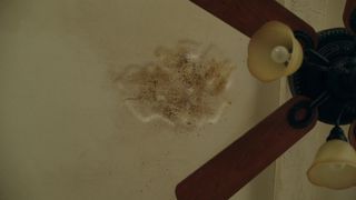 Lake Bell - Bless This Dirt s02e02 (2019)