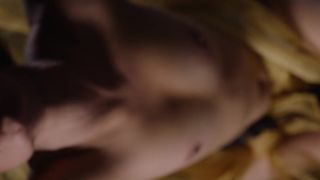 Adrienne Mora - Reimagining Gentileschi_s Danae (2016)