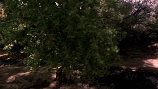 Celeb Hump Scenes - JLo (1999)