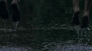 Charlotte Vega nude - The Lodgers (2017)